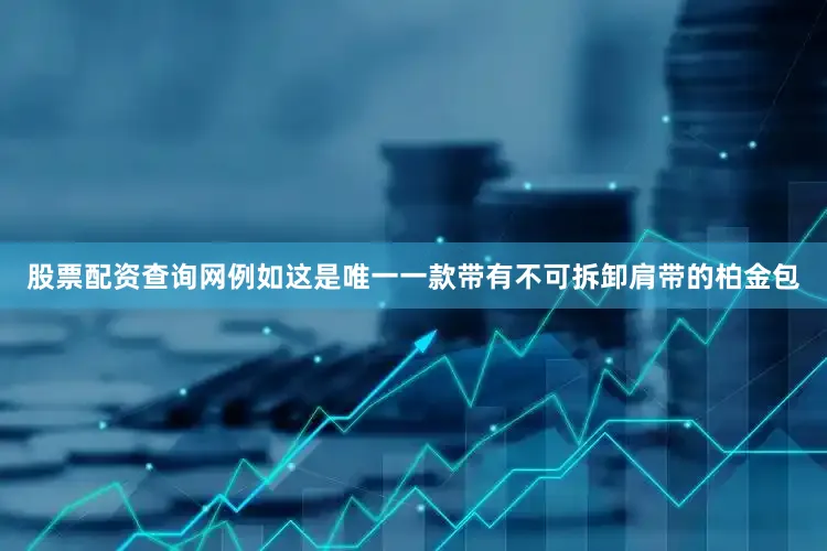 股票配资查询网例如这是唯一一款带有不可拆卸肩带的柏金包