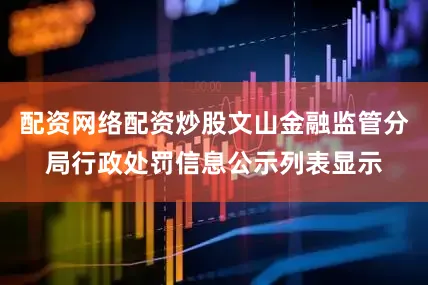 配资网络配资炒股文山金融监管分局行政处罚信息公示列表显示