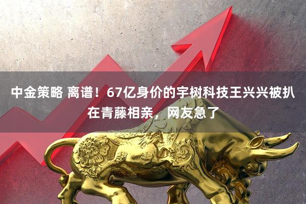 中金策略 离谱！67亿身价的宇树科技王兴兴被扒在青藤相亲，网友急了