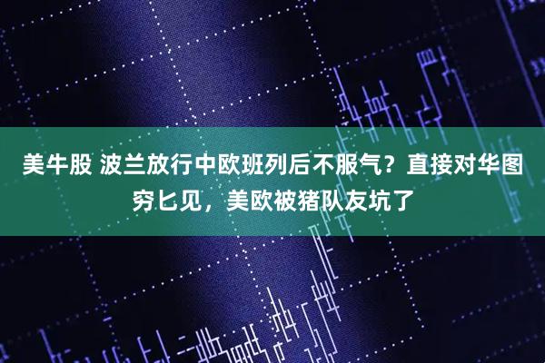 美牛股 波兰放行中欧班列后不服气？直接对华图穷匕见，美欧被猪队友坑了