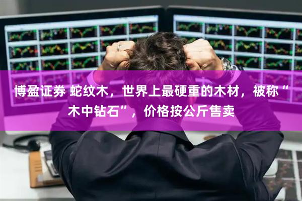 博盈证券 蛇纹木，世界上最硬重的木材，被称“木中钻石”，价格按公斤售卖