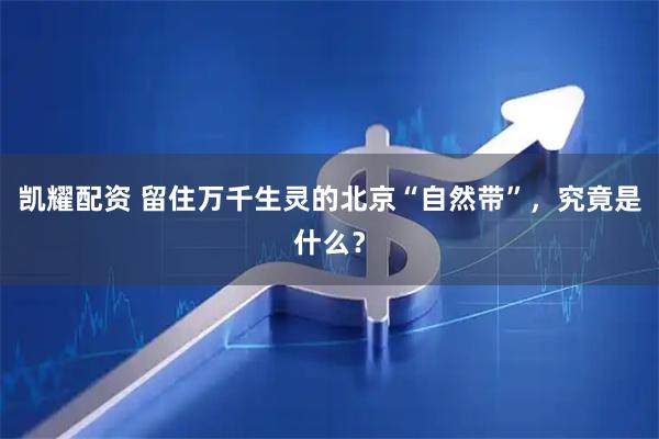 凯耀配资 留住万千生灵的北京“自然带”，究竟是什么？