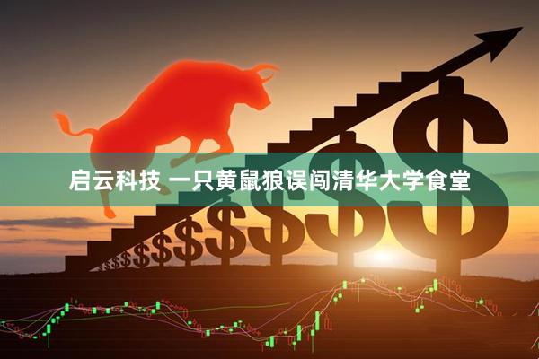 启云科技 一只黄鼠狼误闯清华大学食堂