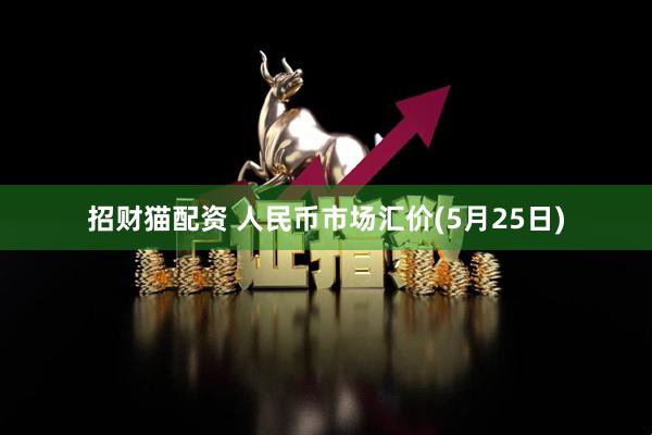 招财猫配资 人民币市场汇价(5月25日)
